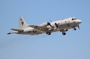 United States Navy Lockheed P-3C Orion (163290) at  Jacksonville - NAS, United States