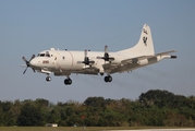 United States Navy Lockheed P-3C Orion (163290) at  Jacksonville - NAS, United States