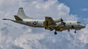 United States Navy Lockheed P-3C Orion (163293) at  Kahului, United States