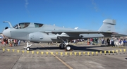 United States Navy Grumman EA-6B Prowler (163397) at  Jacksonville - NAS, United States