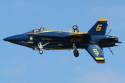 United States Navy McDonnell Douglas F/A-18C Hornet (163444) at  Oshkosh - Wittman Regional, United States