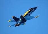 United States Navy McDonnell Douglas F/A-18C Hornet (163451) at  Cleveland - Burke Lakefront, United States