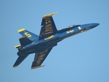 United States Navy McDonnell Douglas F/A-18C Hornet (163451) at  Oshkosh - Wittman Regional, United States