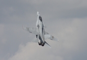 United States Navy McDonnell Douglas F/A-18C Hornet (163465) at  Lakeland - Regional, United States