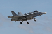 United States Navy McDonnell Douglas F/A-18C Hornet (163485) at  Punta Gorda - Charlotte County, United States