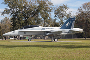 United States Marine Corps McDonnell Douglas F/A-18D Hornet (163486) at  Beaufort - MCAS (Merritt Field), United States