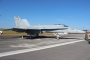 United States Navy McDonnell Douglas F/A-18C Hornet (163487) at  Witham Field, United States