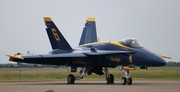 United States Navy McDonnell Douglas F/A-18C Hornet (163768) at  Tampa - MacDill AFB, United States