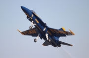 United States Navy McDonnell Douglas F/A-18C Hornet (163768) at  Jacksonville - NAS, United States