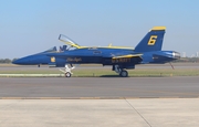 United States Navy McDonnell Douglas F/A-18C Hornet (163768) at  Jacksonville - NAS, United States
