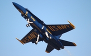 United States Navy McDonnell Douglas F/A-18C Hornet (163768) at  Jacksonville - NAS, United States