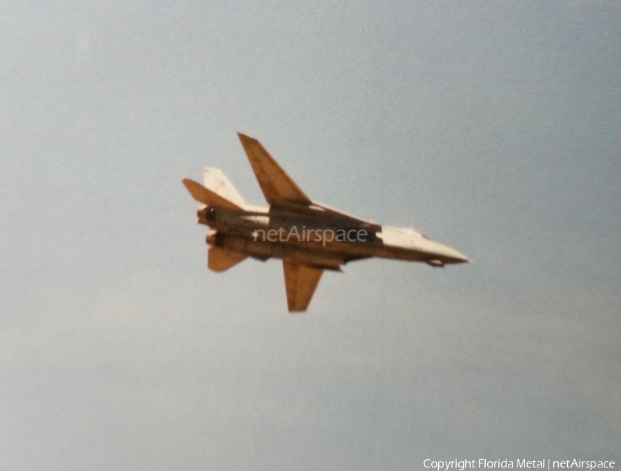 United States Navy Grumman F-14D Tomcat (163897) | Photo 485963