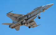 United States Marine Corps McDonnell Douglas F/A-18D Hornet (163994) at  Yuma - MCAS, United States
