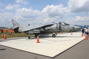 United States Marine Corps McDonnell Douglas AV-8B Harrier II + (164558) at  Lakeland - Regional, United States