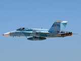 United States Navy McDonnell Douglas F/A-18C Hornet (164691) at  Oshkosh - Wittman Regional, United States