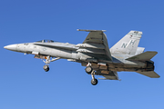 United States Marine Corps McDonnell Douglas F/A-18C Hornet (164715) at  El Centro - NAF, United States