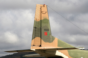 Portuguese Air Force (Força Aérea Portuguesa) CASA C-212-100 Aviocar (16509) at  Sintra AFB, Portugal