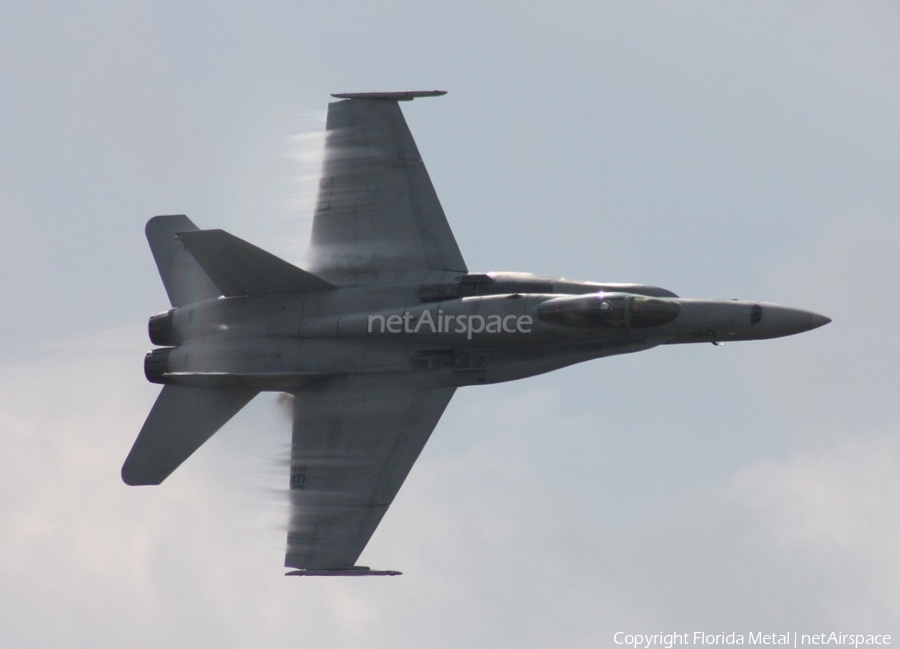United States Navy McDonnell Douglas F/A-18C Hornet (165214) | Photo 491770