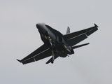 United States Navy McDonnell Douglas F/A-18C Hornet (165214) at  Detroit - Willow Run, United States