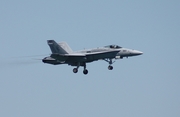 United States Navy McDonnell Douglas F/A-18C Hornet (165214) at  Daytona Beach, United States