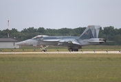 United States Navy Boeing F/A-18E Super Hornet (165786) at  Detroit - Willow Run, United States