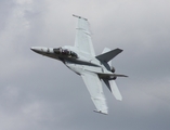 United States Navy Boeing F/A-18F Super Hornet (165806) at  Titusville - Spacecoast Regional, United States