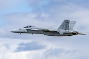United States Navy Boeing F/A-18E Super Hornet (165860) at  Portland - Hillsboro, United States