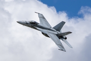 United States Navy Boeing F/A-18E Super Hornet (165860) at  Portland - Hillsboro, United States