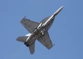 United States Navy Boeing F/A-18F Super Hornet (165877) at  Jacksonville - NAS, United States