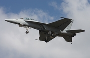 United States Navy Boeing F/A-18F Super Hornet (165877) at  Jacksonville - NAS, United States