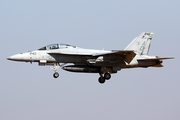 United States Navy Boeing F/A-18F Super Hornet (165880) at  El Centro - NAF, United States