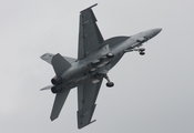 United States Navy Boeing F/A-18F Super Hornet (165931) at  Lakeland - Regional, United States