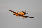 United States Navy Raytheon T-6B Texan II (166064) at  Detroit - Willow Run, United States