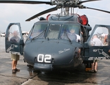 United States Navy Sikorsky MH-60S Knighthawk (166294) at  Detroit - Willow Run, United States