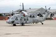United States Navy Sikorsky MH-60S Knighthawk (166352) at  Selfridge ANG Base, United States