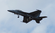 United States Navy Boeing F/A-18F Super Hornet (166453) at  Ft. Worth - NAS JRB, United States