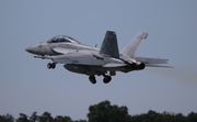 United States Navy Boeing F/A-18F Super Hornet (166610) at  Lakeland - Regional, United States