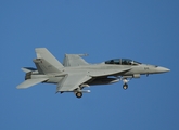 United States Navy Boeing F/A-18F Super Hornet (166610) at  Las Vegas - Nellis AFB, United States