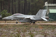 United States Navy Boeing F/A-18F Super Hornet (166631) at  Monte Real AFB, Portugal