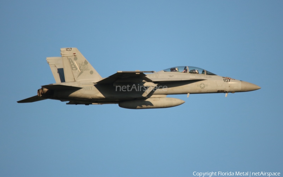United States Navy Boeing F/A-18F Super Hornet (166633) | Photo 499731