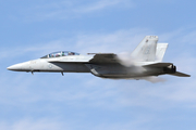 United States Navy Boeing F/A-18F Super Hornet (166667) at  Pensacola - NAS, United States