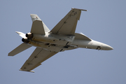 United States Navy Boeing F/A-18F Super Hornet (166673) at  Farnborough, United Kingdom