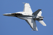 United States Navy Boeing F/A-18F Super Hornet (166673) at  Farnborough, United Kingdom