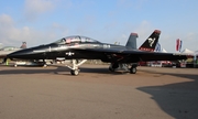 United States Navy Boeing F/A-18F Super Hornet (166673) at  Lakeland - Regional, United States