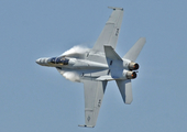 United States Navy Boeing F/A-18F Super Hornet (166677) at  Tampa - MacDill AFB, United States