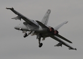 United States Navy Boeing F/A-18F Super Hornet (166790) at  RAF Fairford, United Kingdom