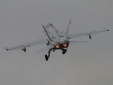 United States Navy Boeing F/A-18F Super Hornet (166790) at  RAF Fairford, United Kingdom