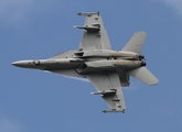 United States Navy Boeing F/A-18F Super Hornet (166790) at  RAF Fairford, United Kingdom