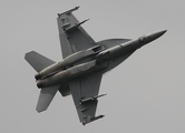 United States Navy Boeing F/A-18F Super Hornet (166790) at  RAF Fairford, United Kingdom