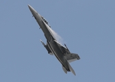 United States Navy Boeing F/A-18F Super Hornet (166790) at  RAF Fairford, United Kingdom